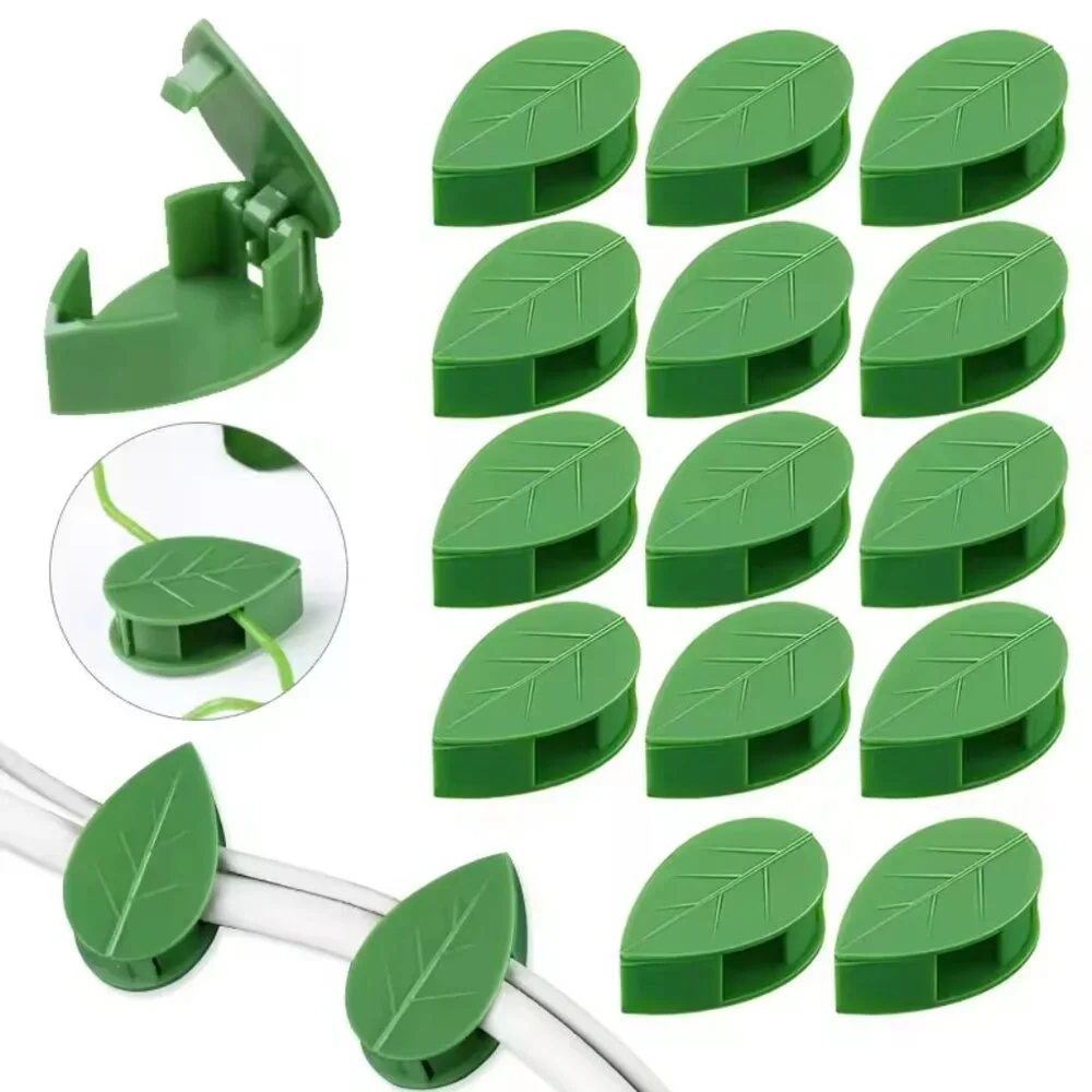 Pothos Clips Control Climbing pothos Wall support